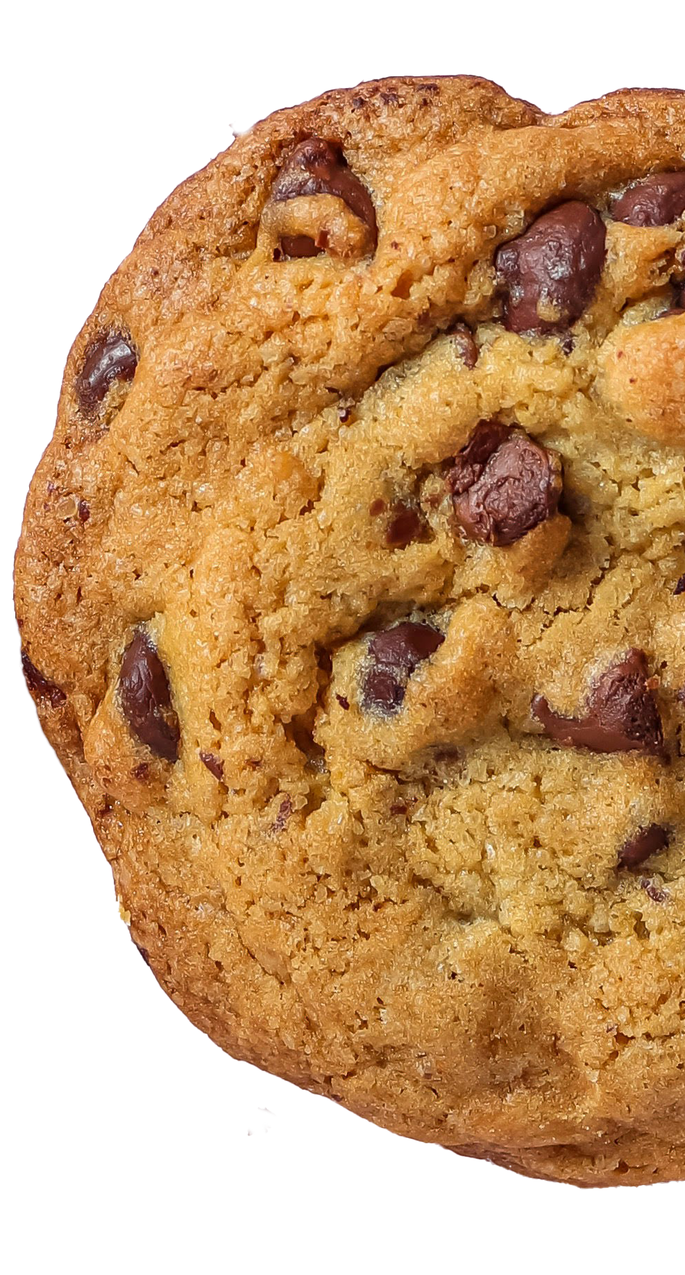 cookie